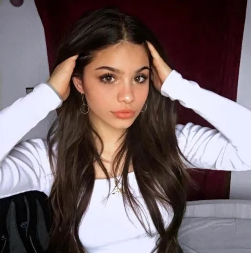 Buse